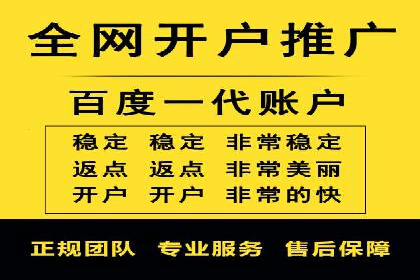 SEM代理助力品牌：案例解析与优化策略